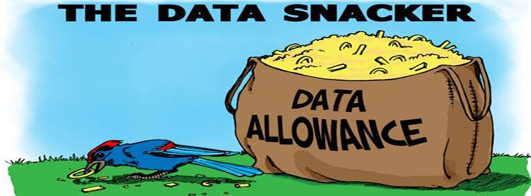 data snackers