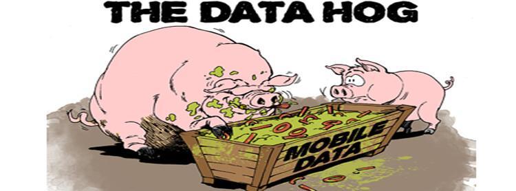 pigs hogging mobile data