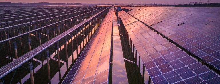 A solar farm